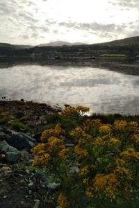 waiting for the ferry at Uig