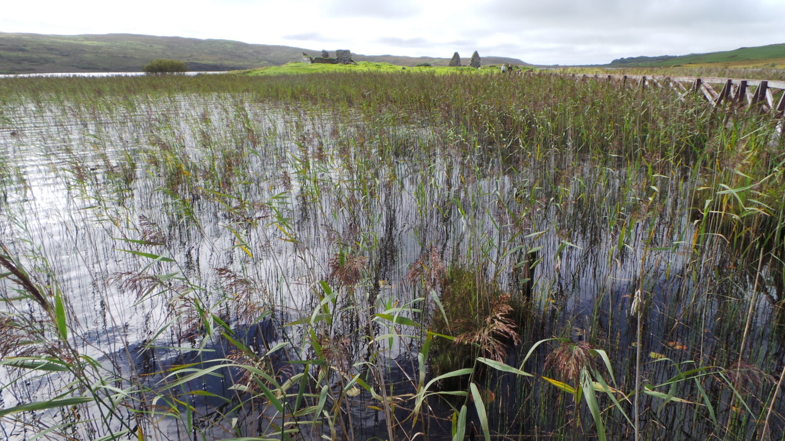 Island Dream 2020 Islay, the seat of the Lords of the Isles Raving