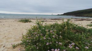 Islay beach