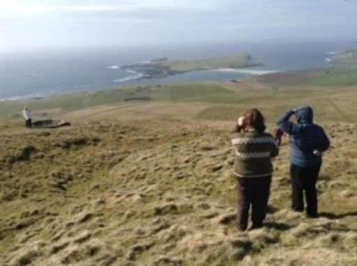 Wild about Shetland